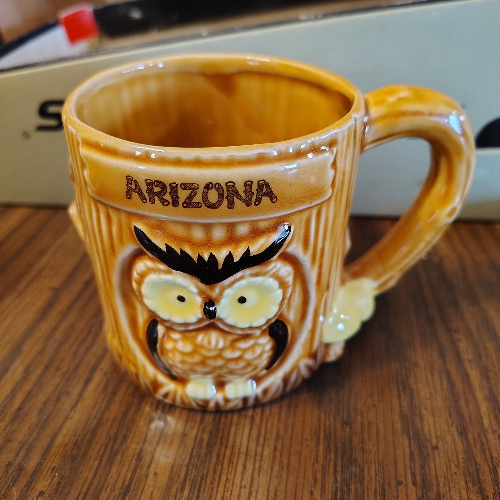 Vintage Arizona owl and mushroom mug